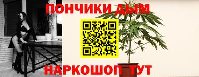 кокс Можга