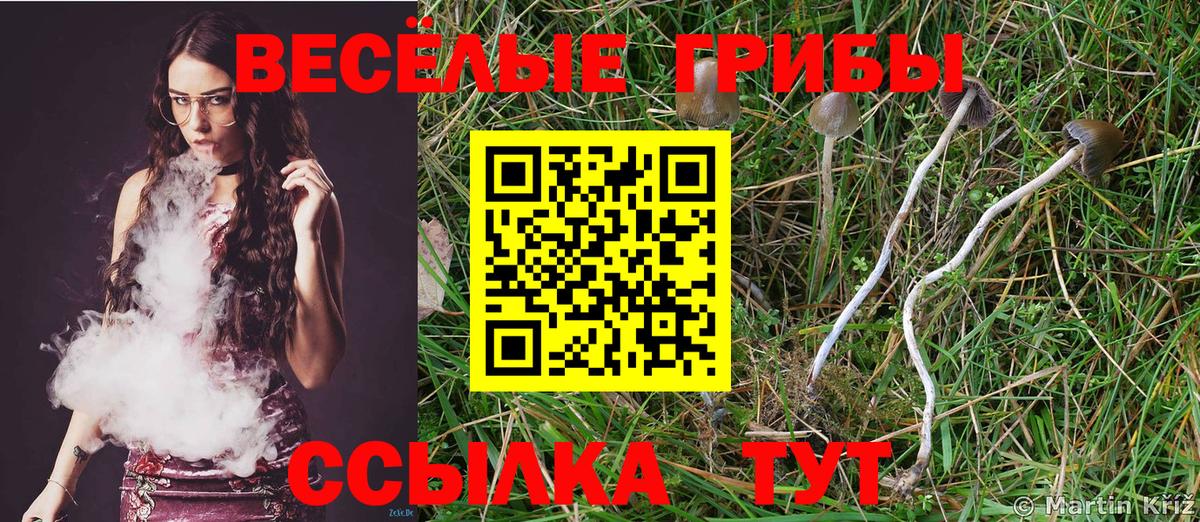 Галлюциногенные грибы Psilocybe  Галлюциногенные грибы GOLDEN TEACHER  Губкин  Вход с VPN 